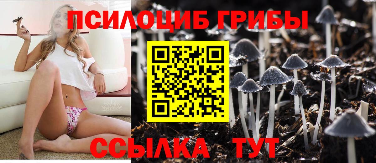 Псилоцибиновые грибы мицелий  Вход с VPN  Псилоцибиновые грибы Psilocybine cubensis  Киреевск 