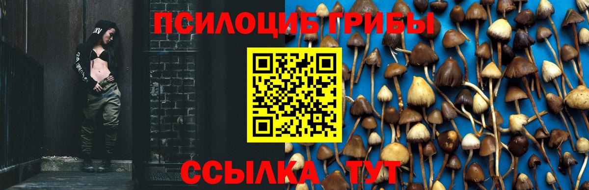 Псилоцибиновые грибы Magic Shrooms Киреевск